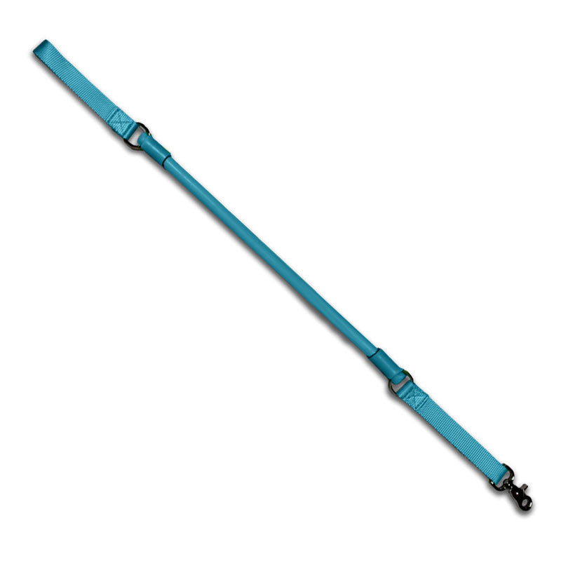Urban No-Pull Dog Leash | Shock-Absorbing Training Leash with Traffic Handle