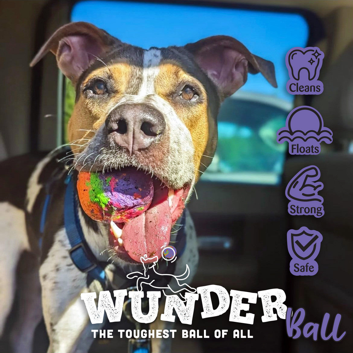 WUNDERball™ Natural Rubber Fetch Ball | Durable Floating Dog Toy for Aggressive Chewers