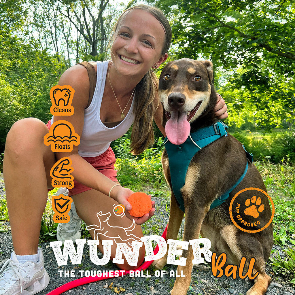 WUNDERball™ Natural Rubber Fetch Ball | Durable Floating Dog Toy for Aggressive Chewers