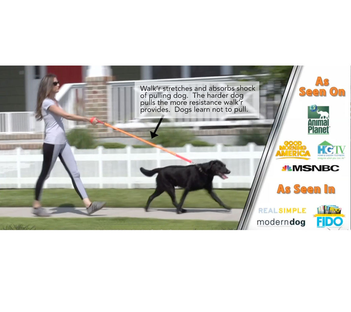 WUNDERleash™ Original No-Pull Dog Leash | Shock-Absorbing Stretch Training Leash