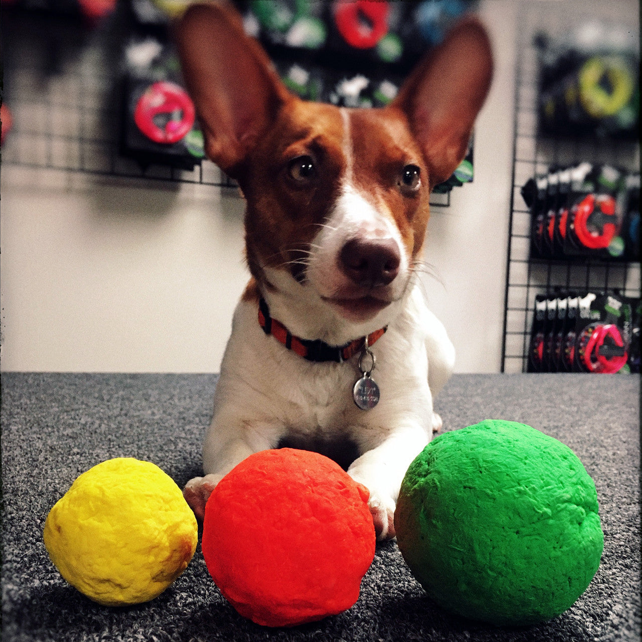 WUNDERball™ Natural Rubber Fetch Ball | Durable Floating Dog Toy for Aggressive Chewers