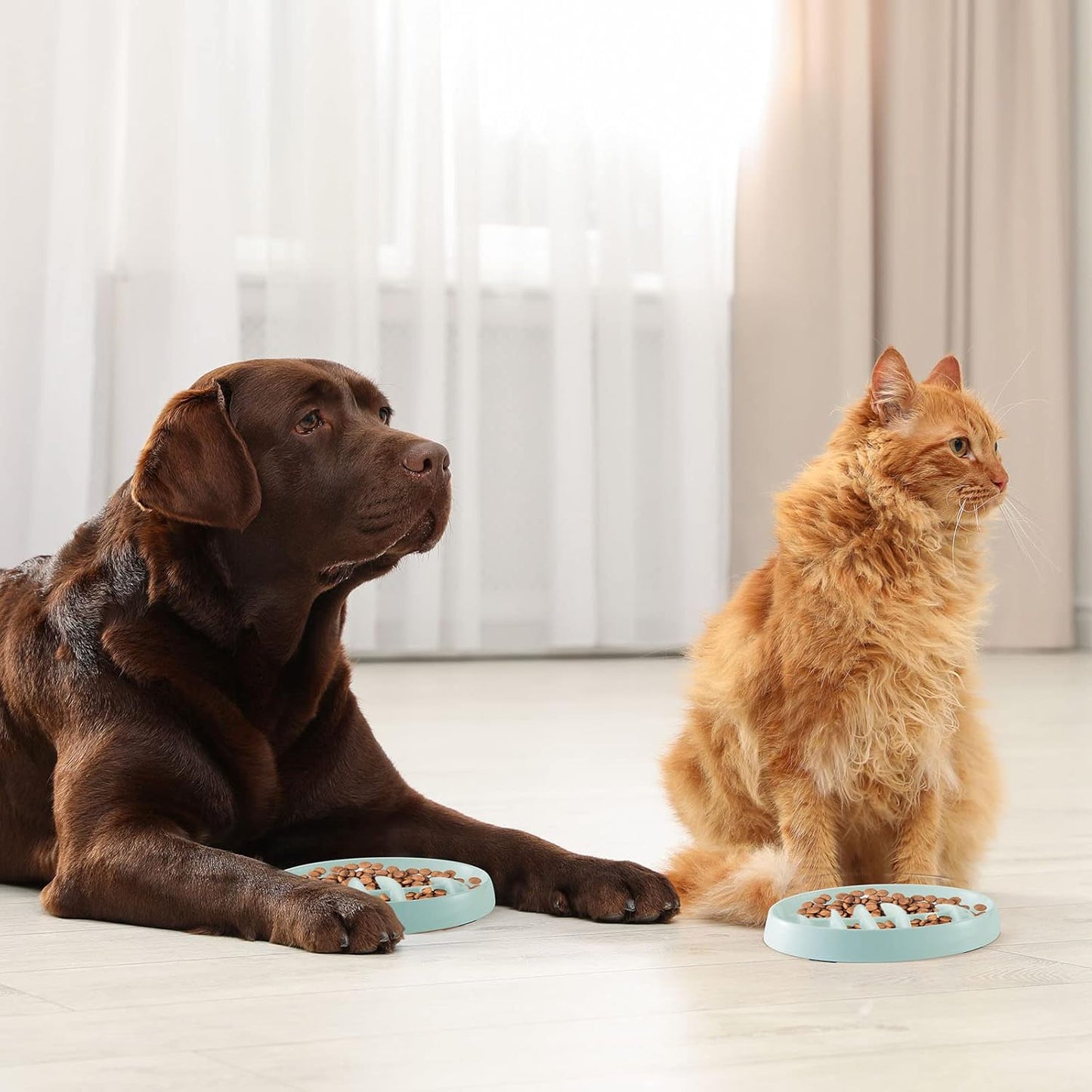 Fishbone Slow Feeder Bowl for Cats & Small Dogs | Interactive Anti-Gulping Pet Feeding Dish