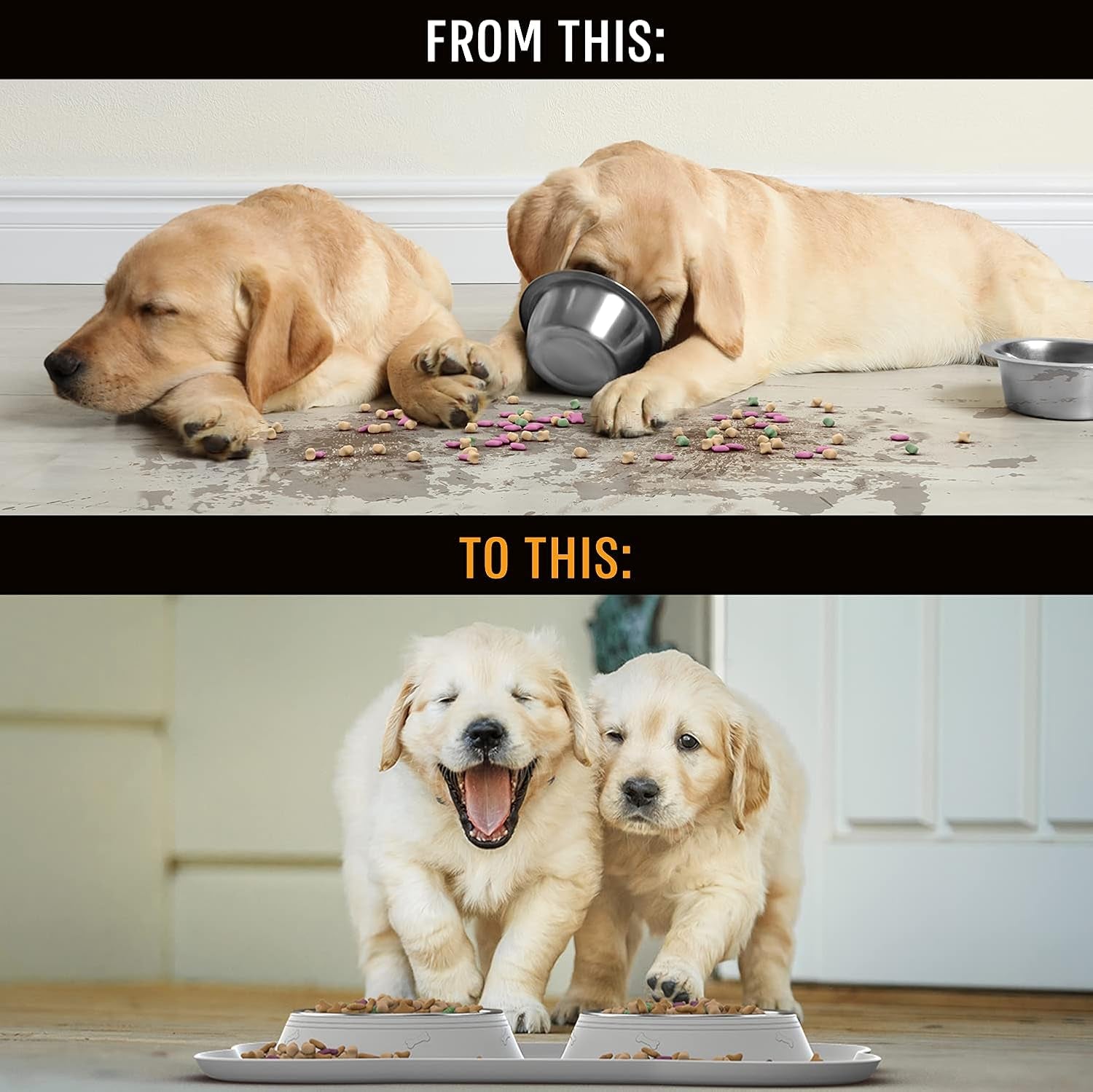 Active Pets Dog Bowl Set, Stainless Steel No Spill Mess-Proof Food & Water Food Bowls with Skid Resistant Silicone Mat, Dog Bowls Small Size Dog, Medium, & Large, Pet Puppy Bowls & Dishes