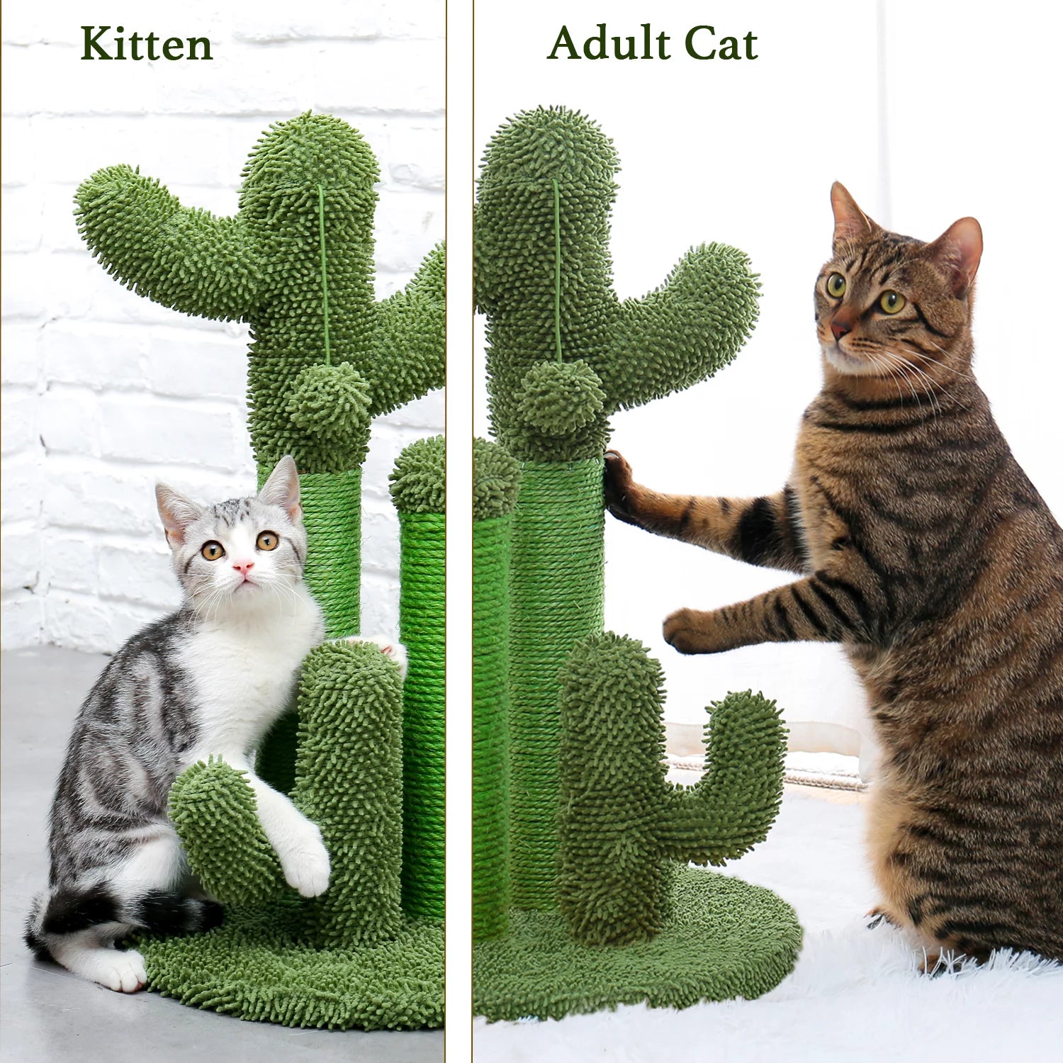 PAWZ Road 23" Cactus Cat Scratching Posts Medium Sisal Cat Scratcher,Green