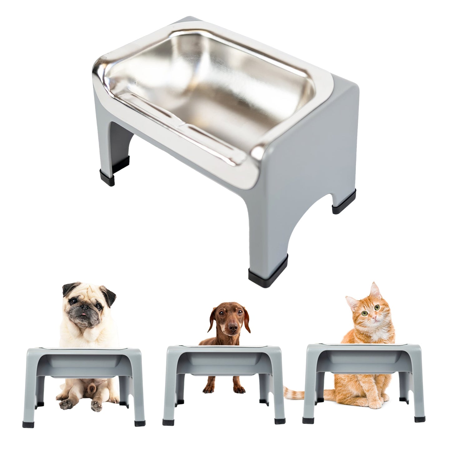 Elevated Pet Feeding Bowl for Dogs & Cats (Non-Slip Stand)