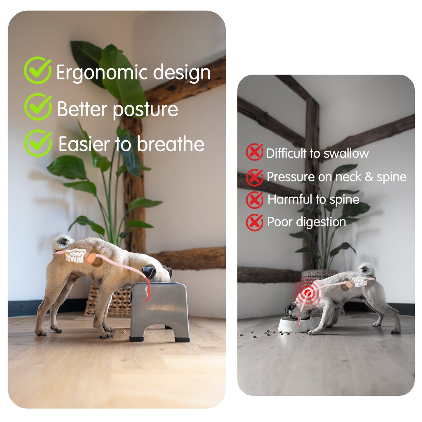 Elevated Pet Feeding Bowl for Dogs & Cats (Non-Slip Stand)
