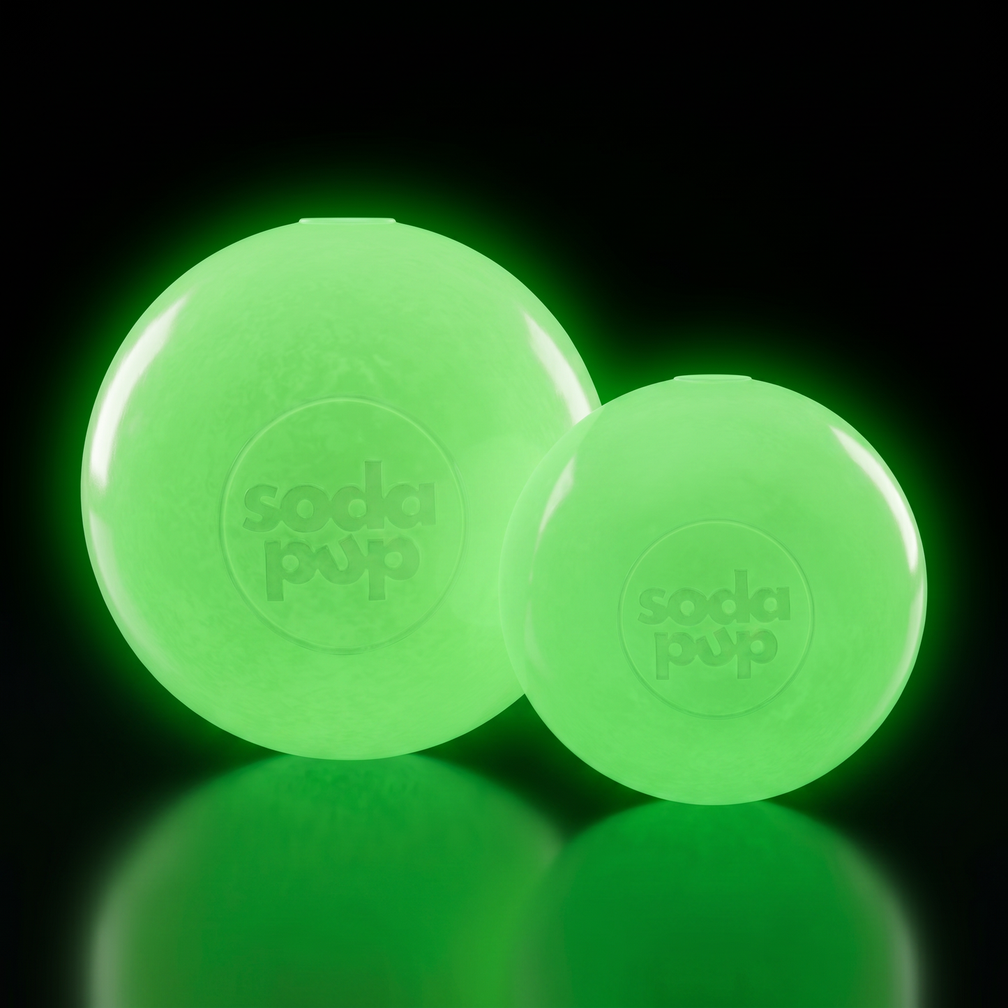 Durable Squeaky Dog Ball | USA-Made Floating Fetch & Chew Toy for Dogs