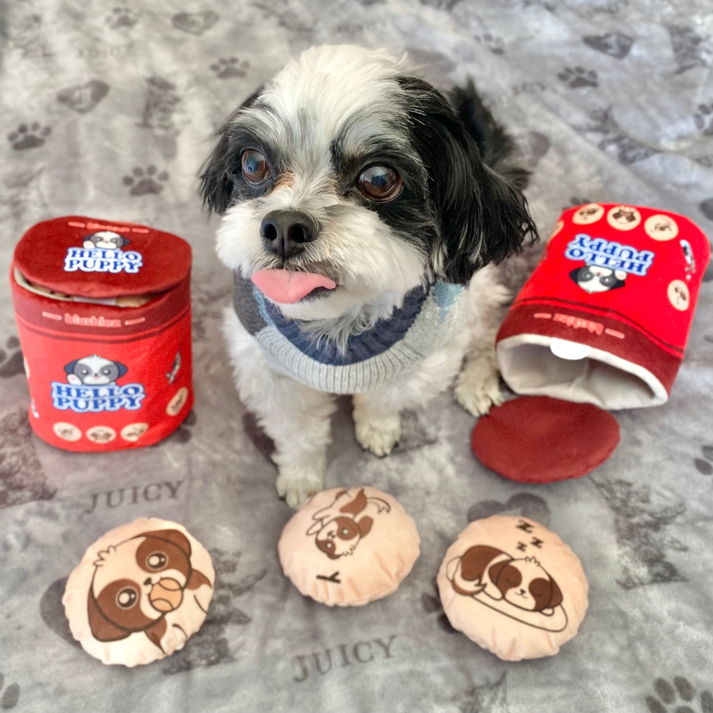 Hello Puppy 4 Piece Dog Toy