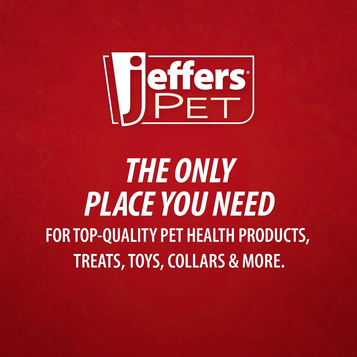 Jeffers Professional Stainless Steel Pet Grooming Shears