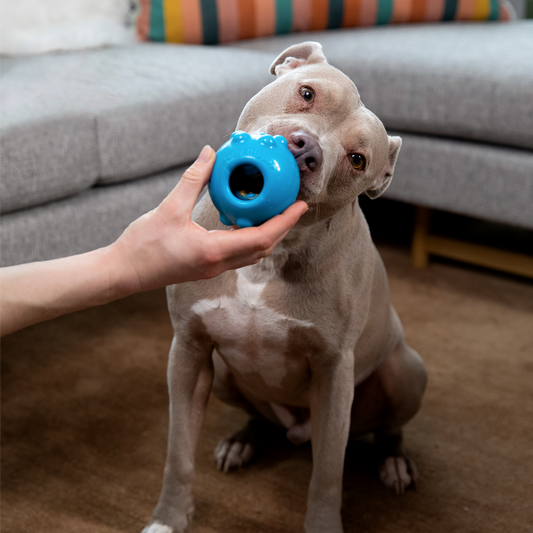 Jolly Dipper™ Treat Dispensing Dog Toy | Durable Interactive Chew & Fetch Toy