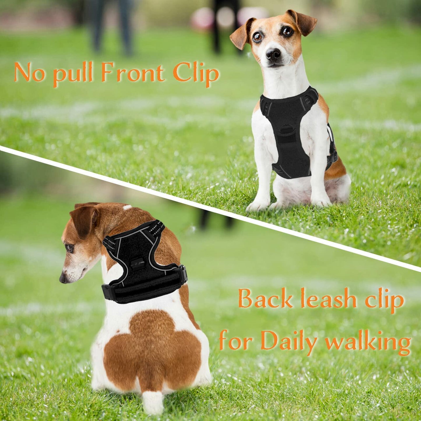 Reflective No-Pull Dog Harness | Adjustable Padded Front & Back Clip Harness