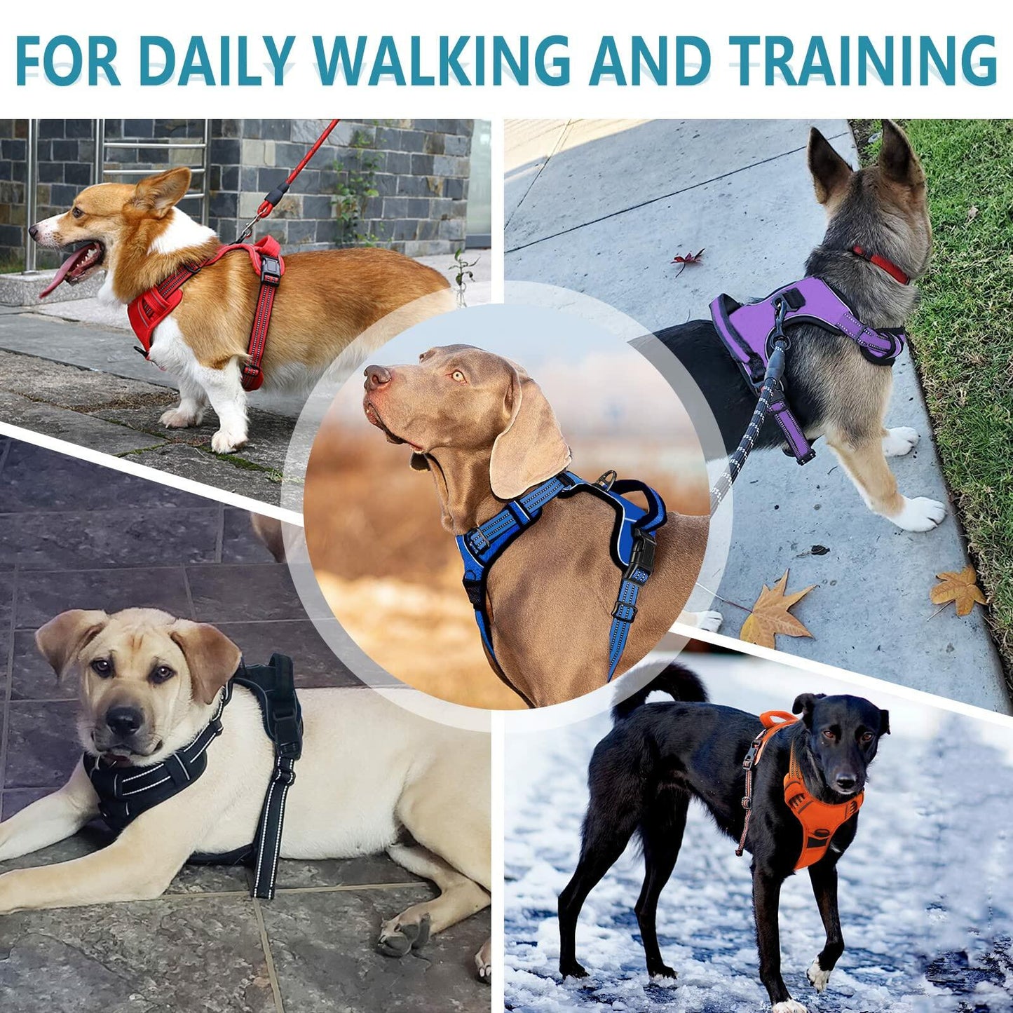 Reflective No-Pull Dog Harness | Adjustable Padded Front & Back Clip Harness