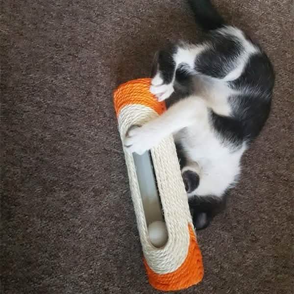 Interactive Sisal Cat Scratching Roller with 3 Rolling Balls | Scratch & Play Toy for Indoor Cats