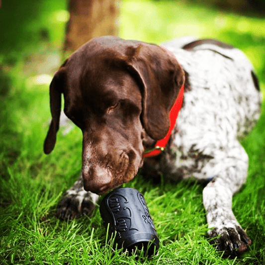 Magnum Can Rubber Dog Chew Toy | USA-Made Treat Dispensing Toy for Aggressive Chewers