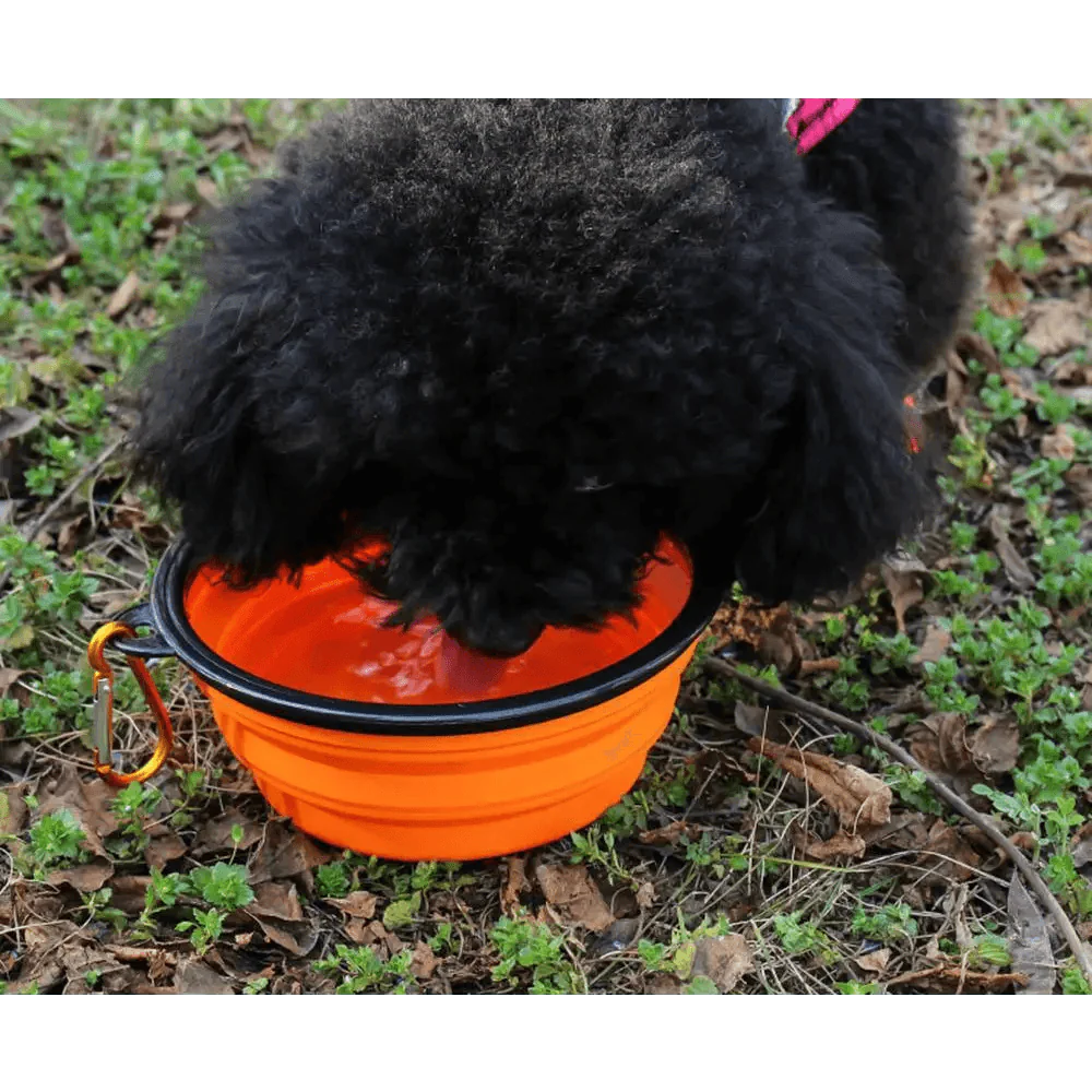 Collapsible Pet Travel Bowl for Dogs & Cats (Portable Silicone)