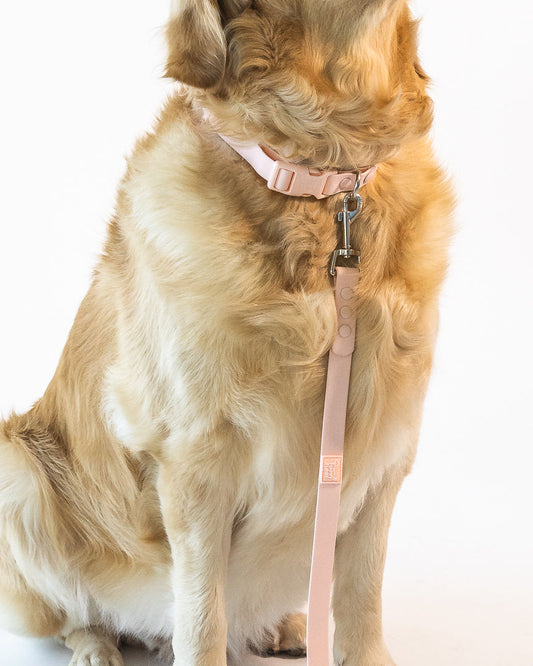 Weatherproof Dog Leash