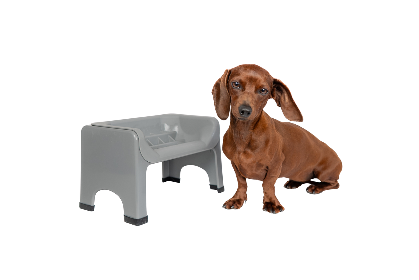 Elevated Slow Feeder Dog Bowl for Healthy Digestion & Mess-Free Feeding
