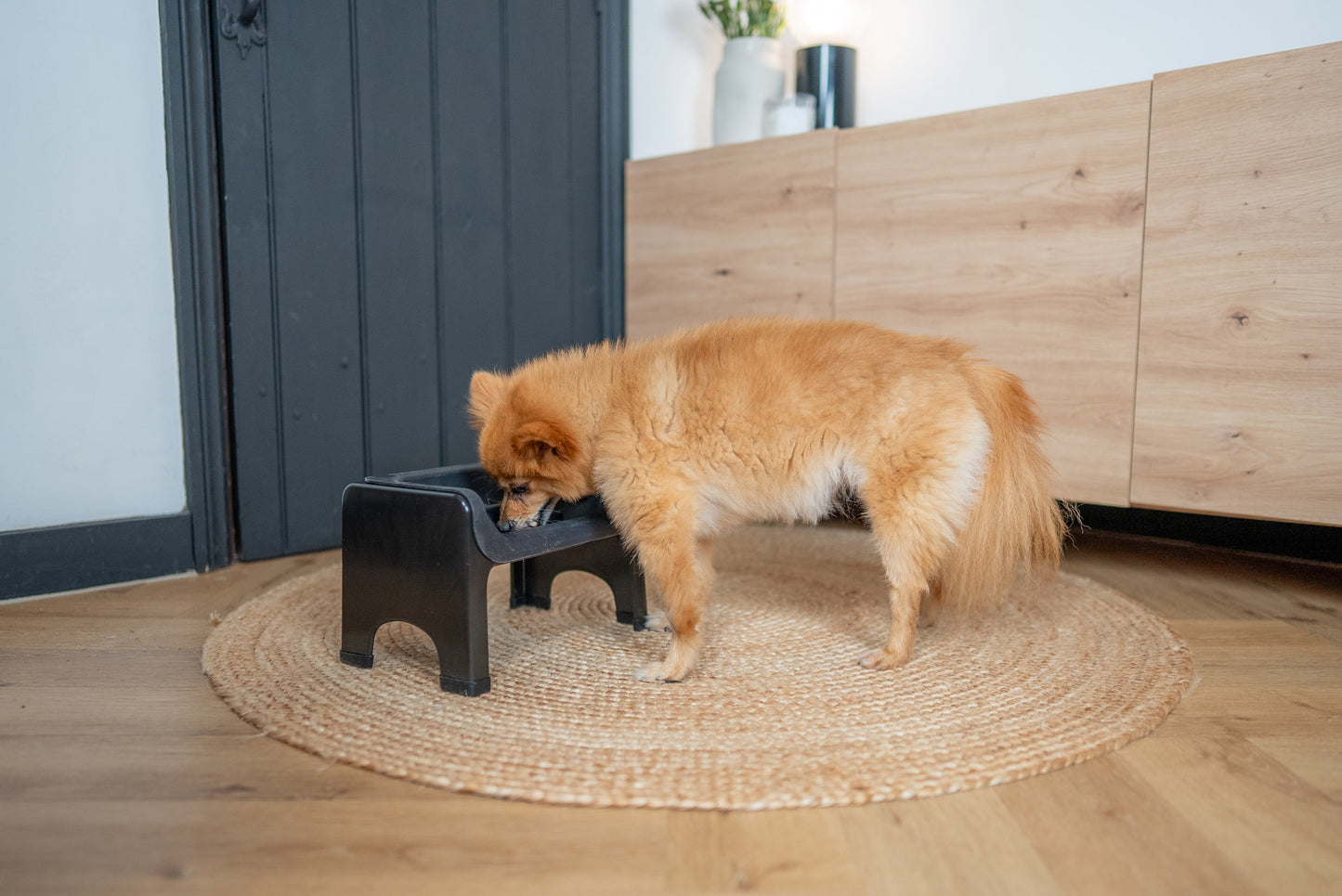 Elevated Slow Feeder Dog Bowl for Healthy Digestion & Mess-Free Feeding
